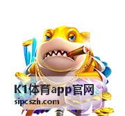 K1体育app官网客户端使用问题排查页面示意